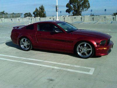 mustang.jpg