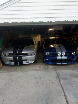 IMG_20101109_170943.jpg