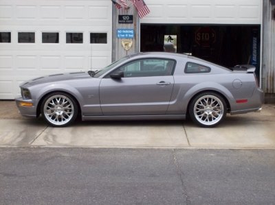 stang.JPG