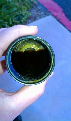IMAG0155.jpg