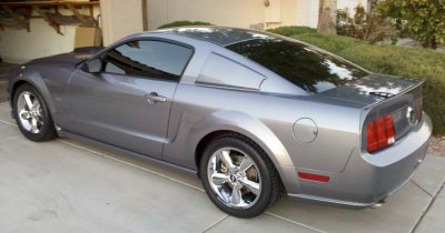 stang2.JPG