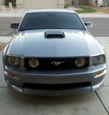 stang4.JPG