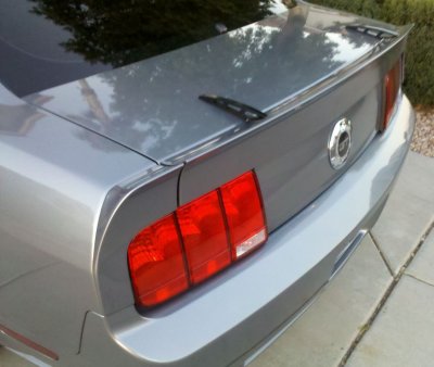 stang1.JPG