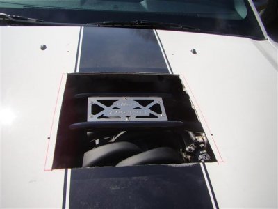 pics 202 (Small).JPG