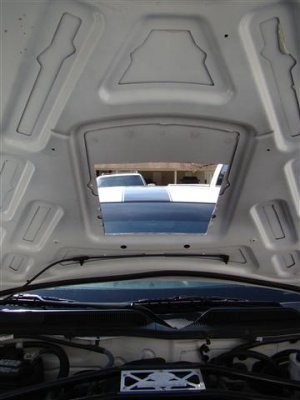 pics 203 (Small).JPG