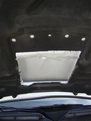 pics 005 (Small).JPG