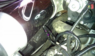 IMAG0139.jpg