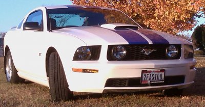 2FAST08Autumn.JPG