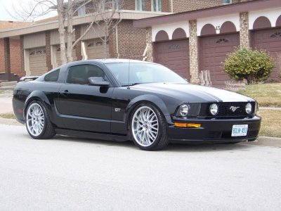 mustang1.jpg