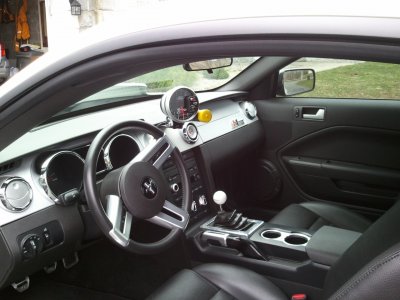 insidetachshot.jpg