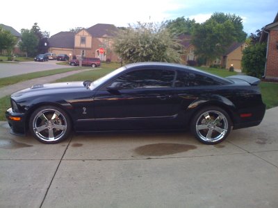stang.jpg