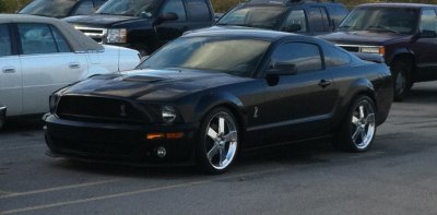 stang2.jpg