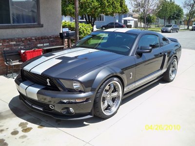 shelby.jpg