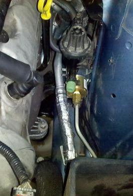 IMG_20110411_094126.jpg