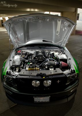 large 4.jpg