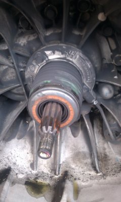 IMAG0321.jpg