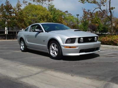 latest 2010 003 (Medium).jpg