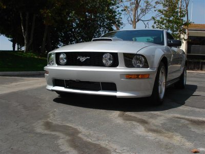 latest 2010 004 (Medium).jpg