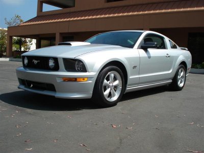latest 2010 005 (Medium).jpg