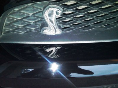 Cobra Reflection.jpg