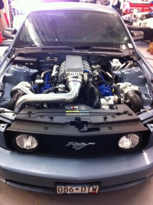 dyno photo.jpg