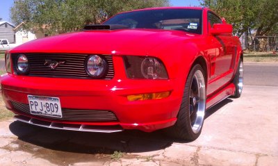 mustang2.jpg