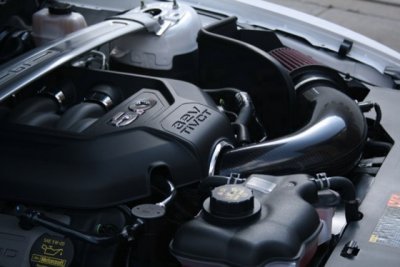 ImageUploadedByTapatalk1304051115.398780.jpg