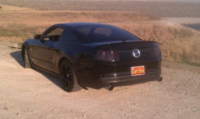 IMAG0265.jpg