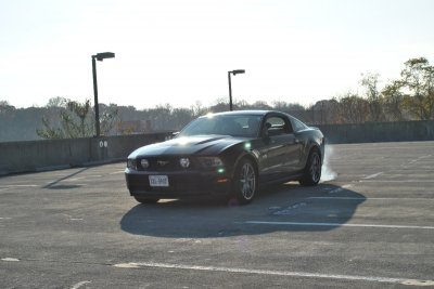 DSC_00732.jpg