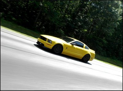 yellowblack.jpg