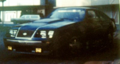 IMAG0008.jpg