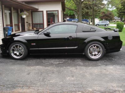 stang 005.JPG