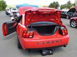 rear.jpg