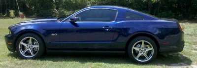 saleennn.jpg