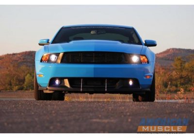 35994-headlight-black-proj-2010.jpg