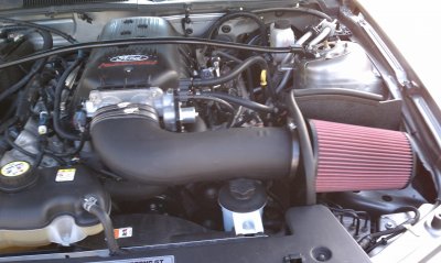 IMAG0010.jpg