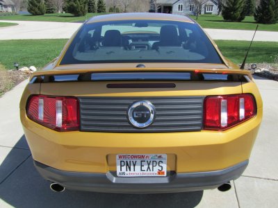 Large rear view.jpg