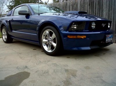 stang.jpg