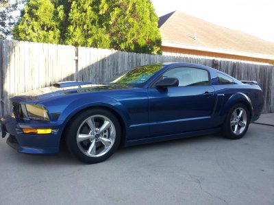 stang1.jpg