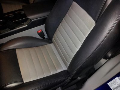 stanginterior1.jpg