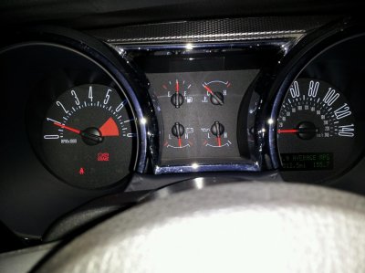 stanginterior4.jpg