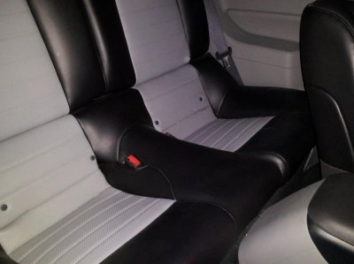 stanginterior5.jpg