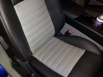 stanginterior6.jpg