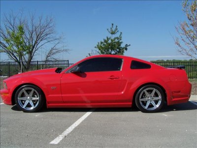 mustang.jpg