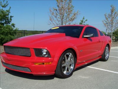 mustang2.jpg