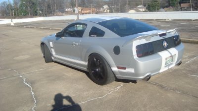 MUSTANG ROY 045.jpg