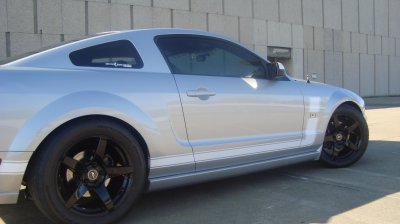 MUSTANG ROY 037.jpg