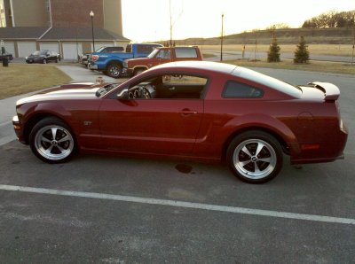 stang.jpg