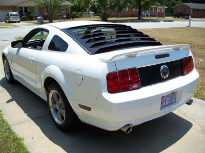 Picture 054 (Medium).jpg