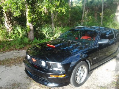 20120617_080303.jpg